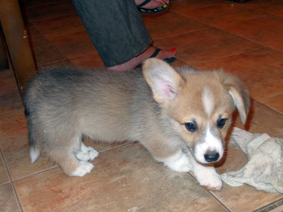 Nando08