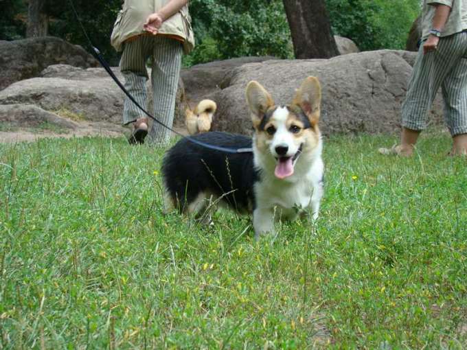 Pack2009_08_19