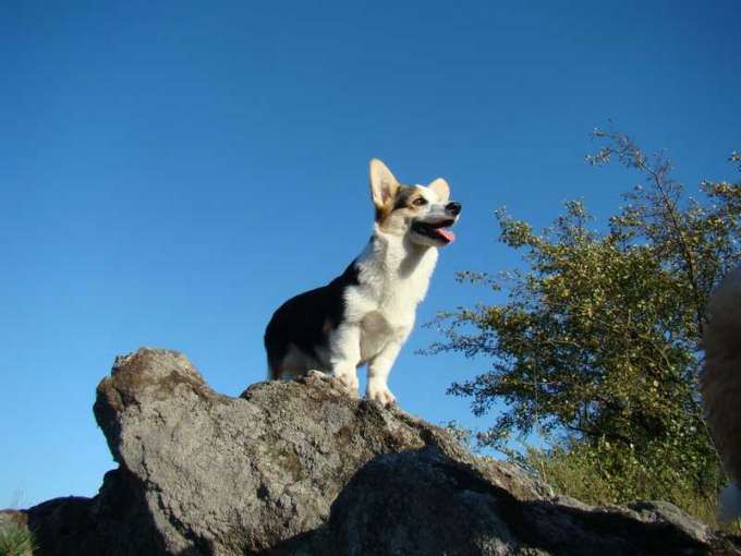 Pack2009_08_26