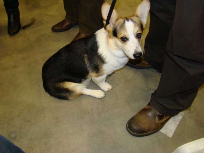 Pack2009_12_35